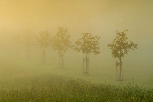 Oly távol és mégis közel