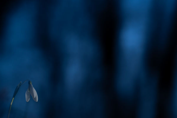 A kék óra nyugalma