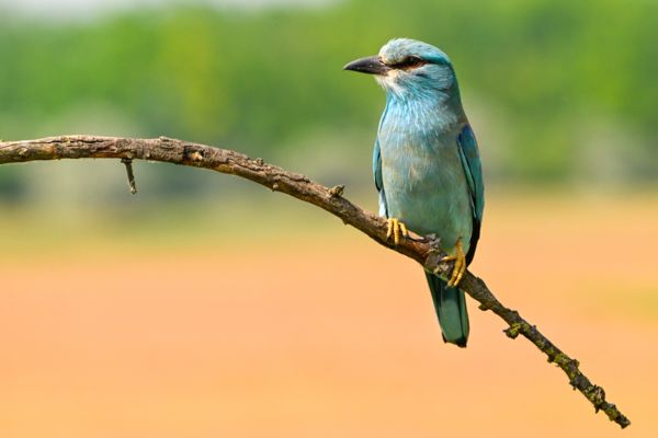 Egy másodperc pihenő