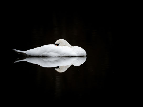 Aludj csak, én álmodom