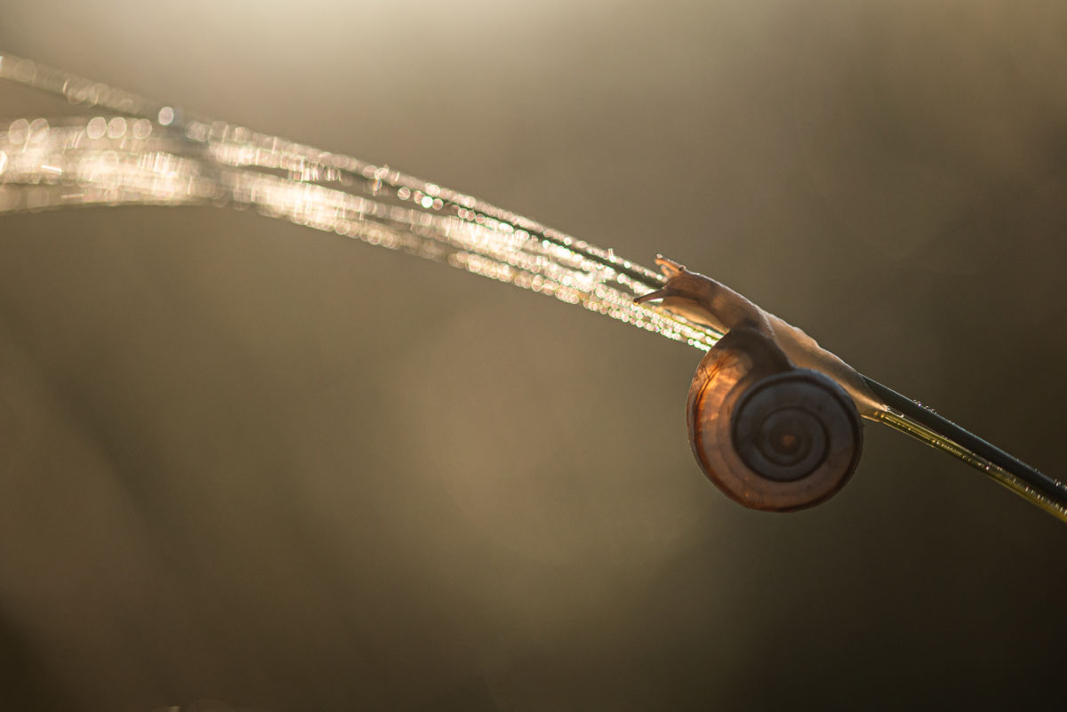 Darányiné Bakos Éva