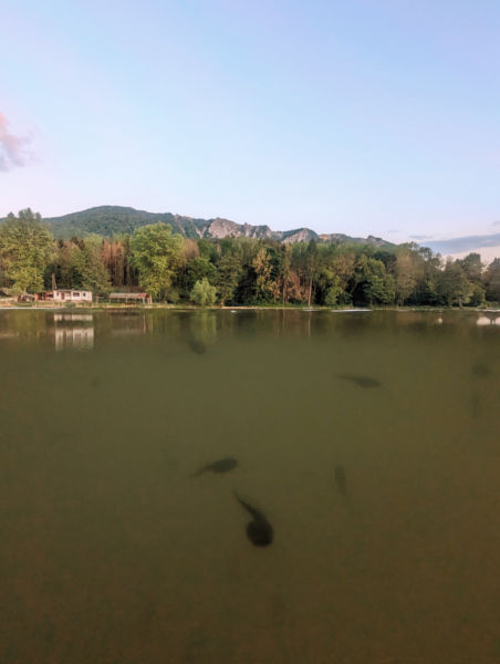 Eközben a felszín alatt