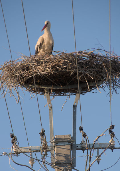 Otthon, édes otthon