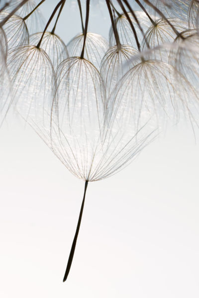 Búcsú a családtól