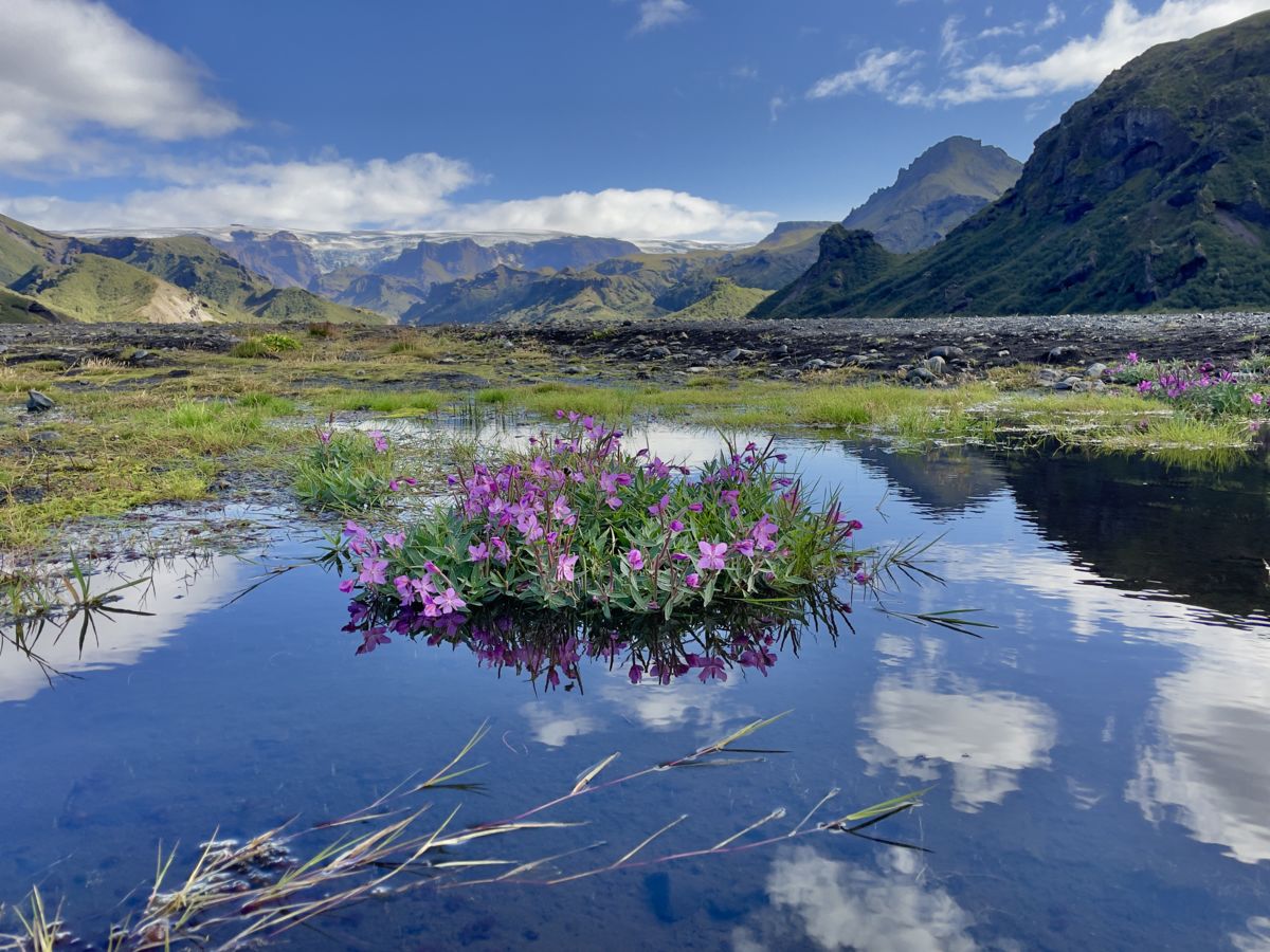 Presztolánszky Ágnes