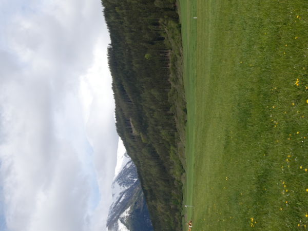 Virágos réttől havas hegycsúcsig