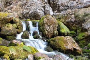 Birnbachlochi vízesés Birnbachlochi vízesés