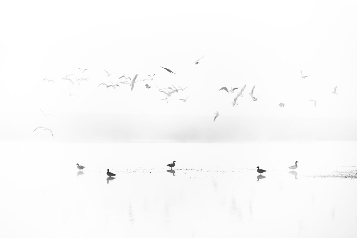 Darányiné Bakos Éva