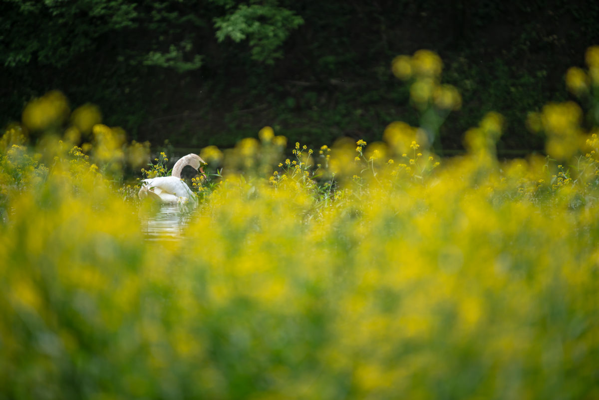 Darányiné Bakos Éva
