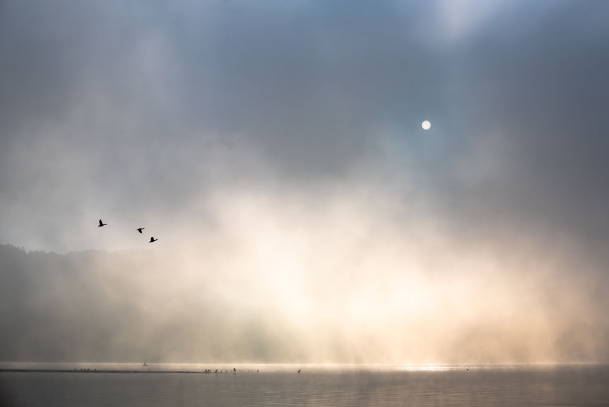 Darányiné Bakos Éva