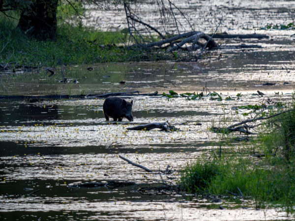 Este a Cserta-Dunán