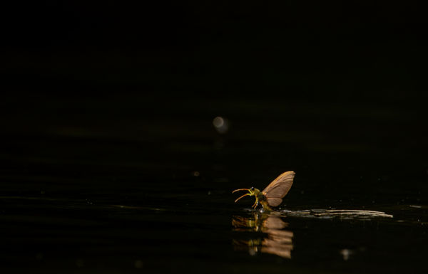 Az utolsó napfürdő!