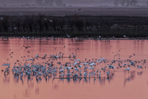 Alkonyi beszállóhely
