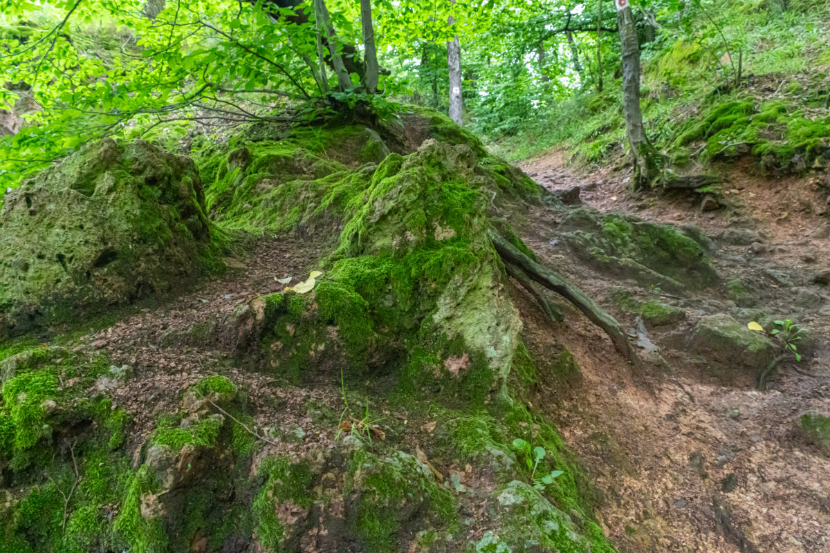 Germán Szilveszter Tibor