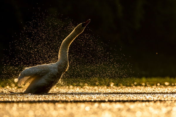 Természetes szárítás