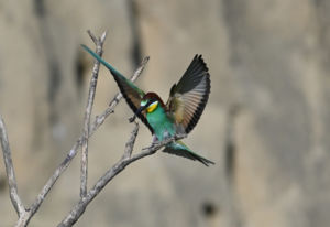 Vacsorához készülődve Vacsorához készülődve