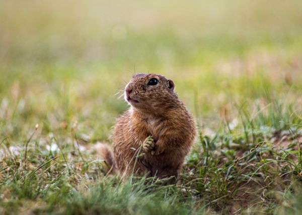 Hoztál nekem valamit?