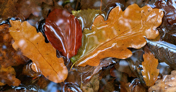 Három férfi és egy bébi