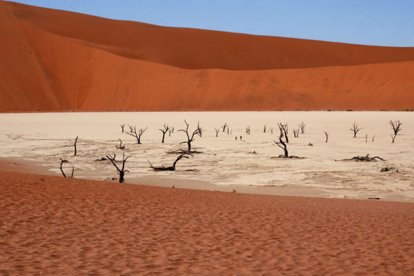 Évszázadok néma tanúi