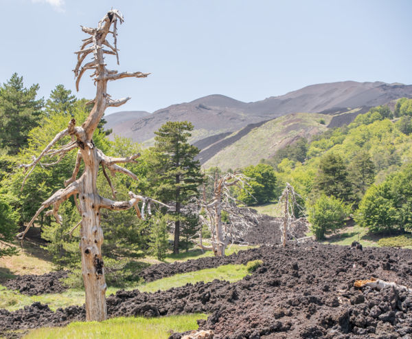 Mementó a láva útján