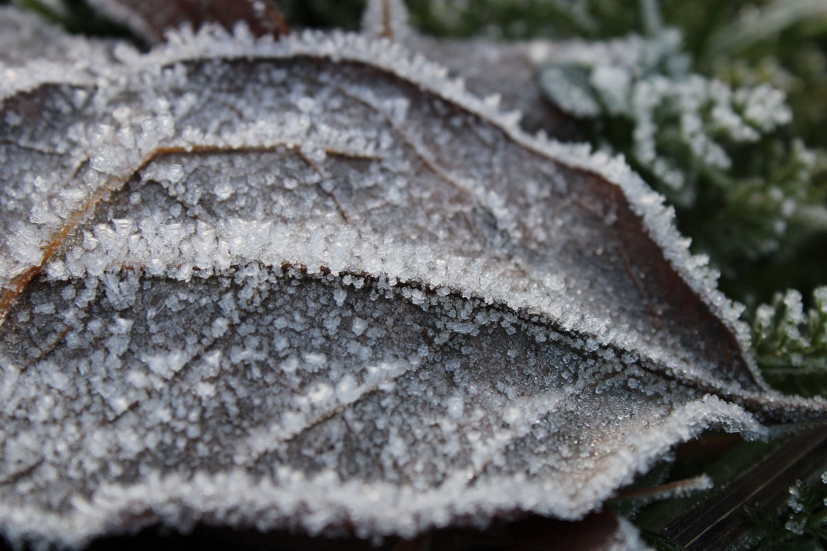 Seres Ádám Zoltán
