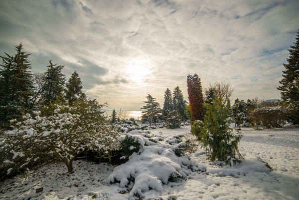 Naplemente a Folly Arborétumban