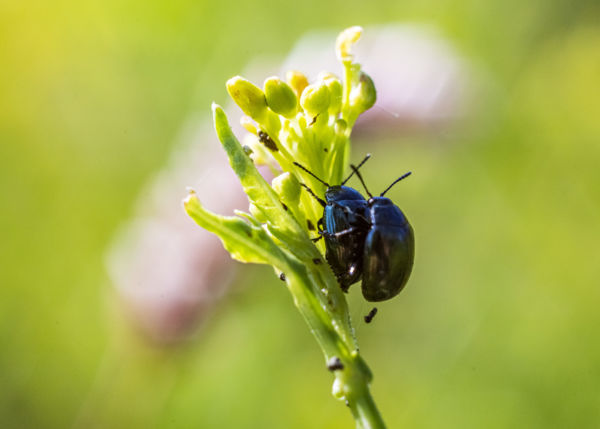 Hopp, valami kicsúszott...