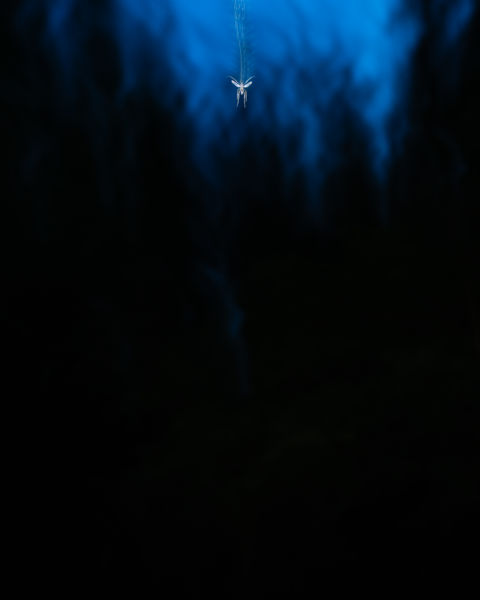 A fény és árnyék határán