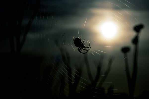 A szivárvány alkotója