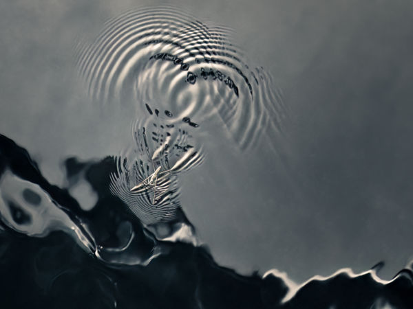 A molnárpoloska szíve