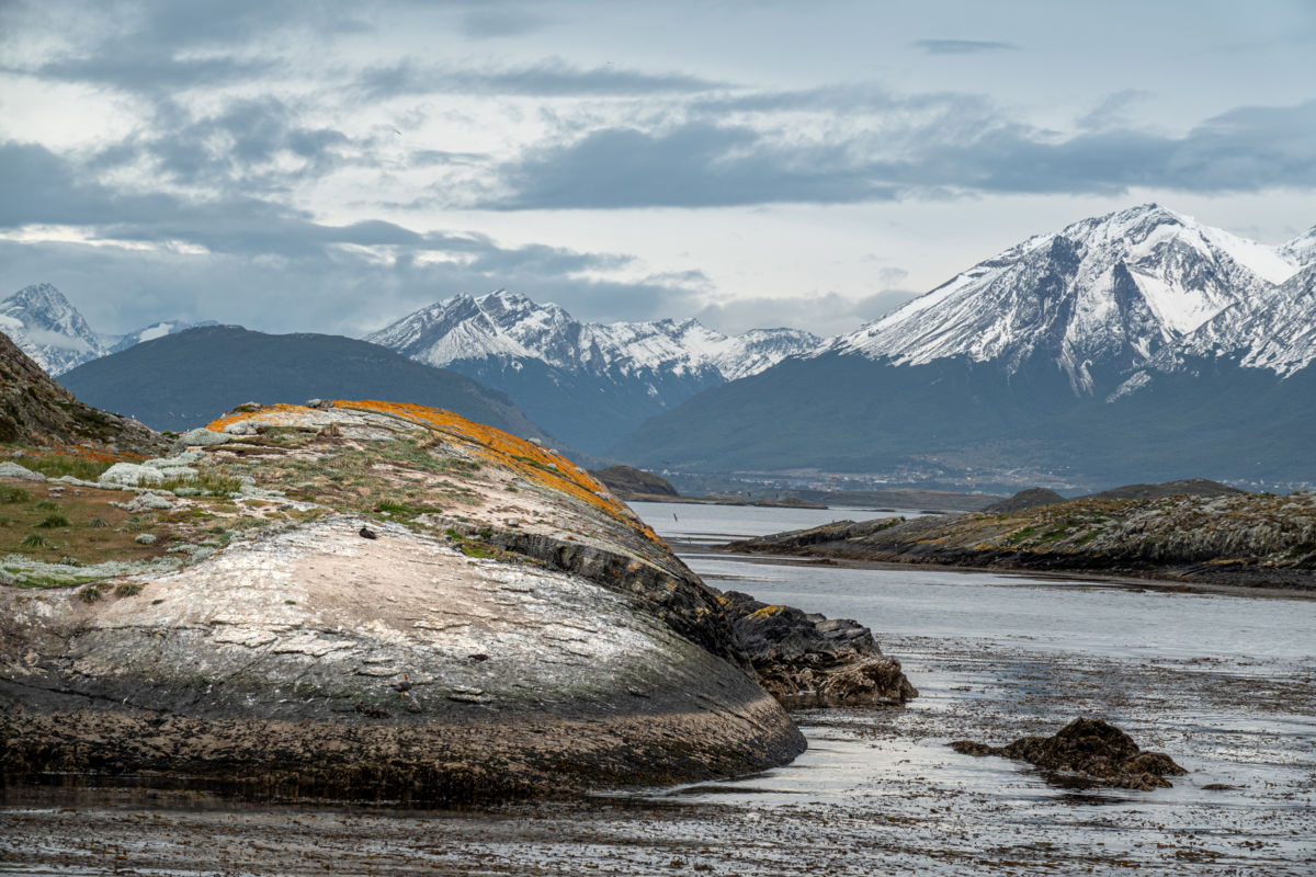 Bernáth Sándor dr. 