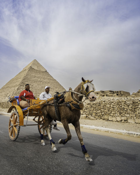 Ahol az állat még aktív munkaeszköz