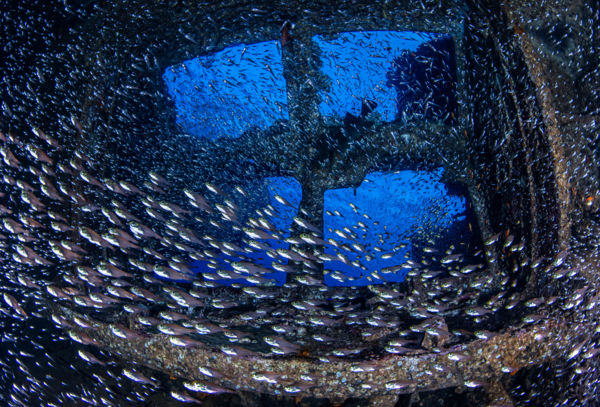 Kilátás a tengerre. 