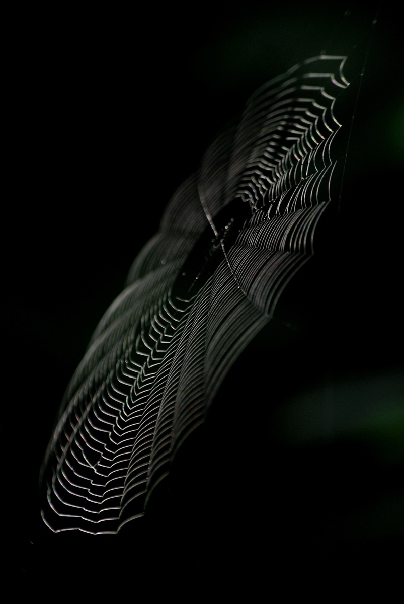 Laczkó-Magyar György