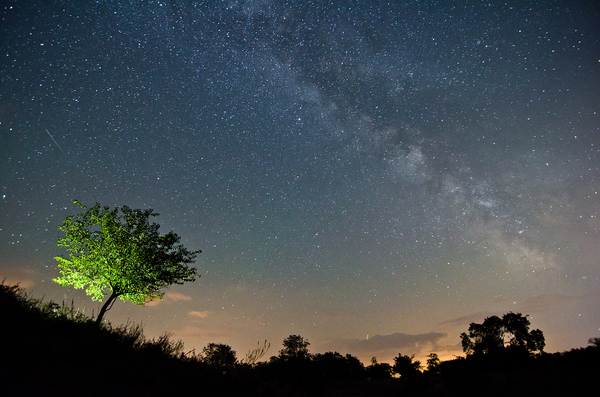 Perseidák éjszakája
