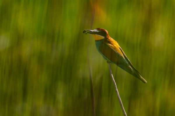 Festői környezetben