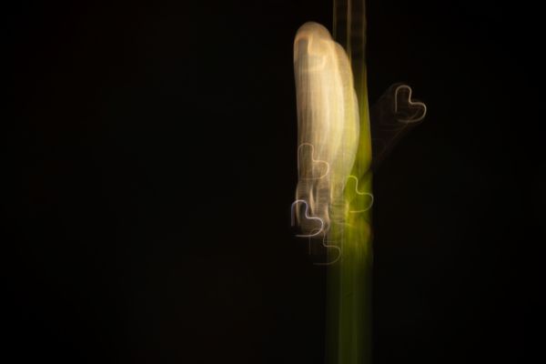 A szerelem hullámhosszán