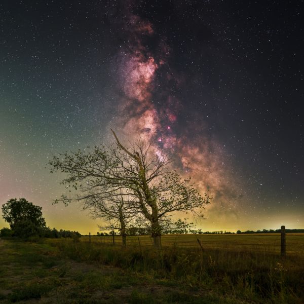 Magányosan az alföldön