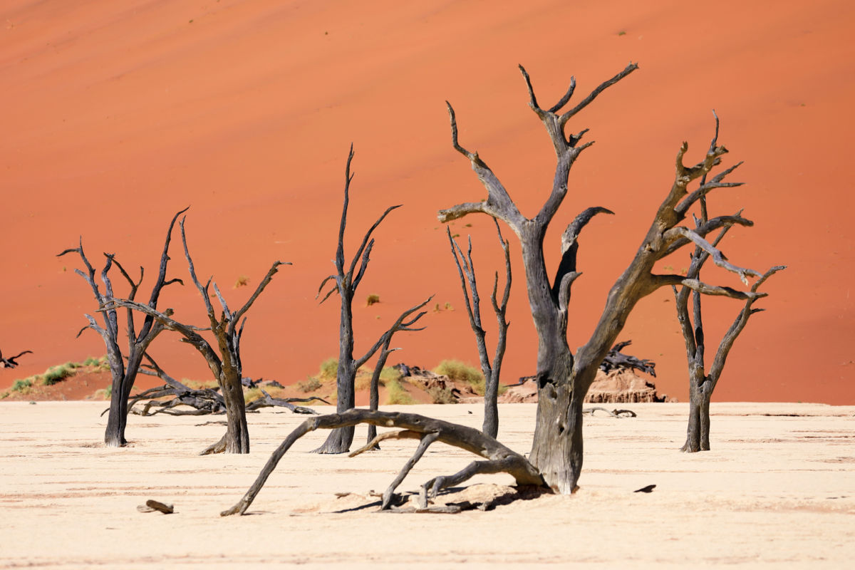 Bernáth Sándor dr. 