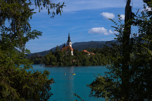 Bled