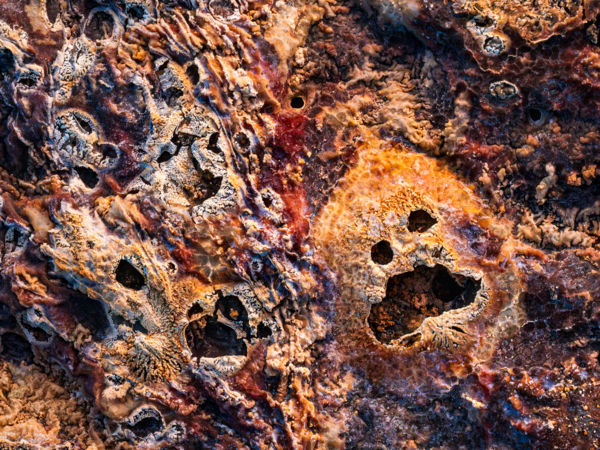 A szikkadó szikes sikolya