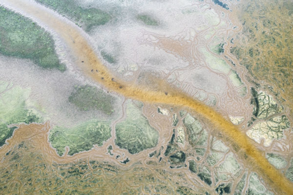 A szárazság formái