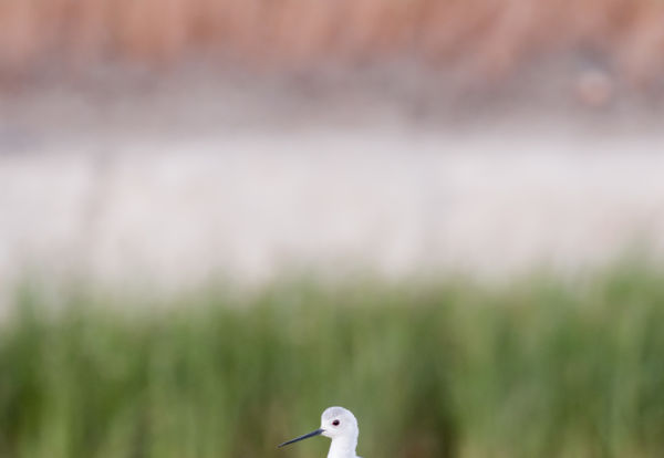 Varázslatos Magyarország