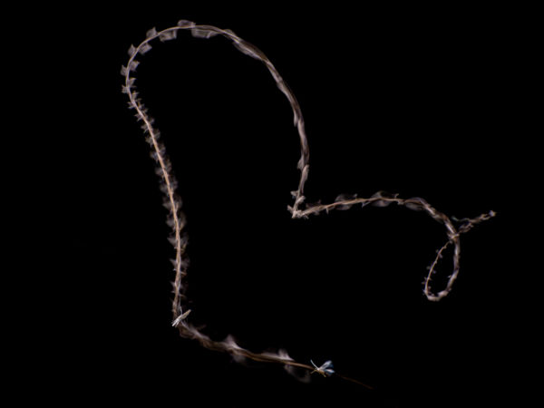 A szívem szakad meg