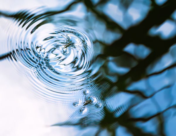 Eltérő hullámhosszon