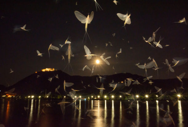 Holdkelte Visegrádon