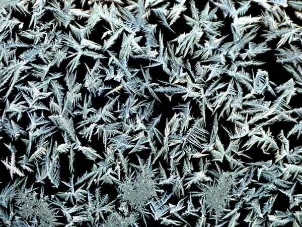 Jégvirágos reggelen