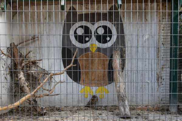 Hortobágyi Madárkórház baglyok