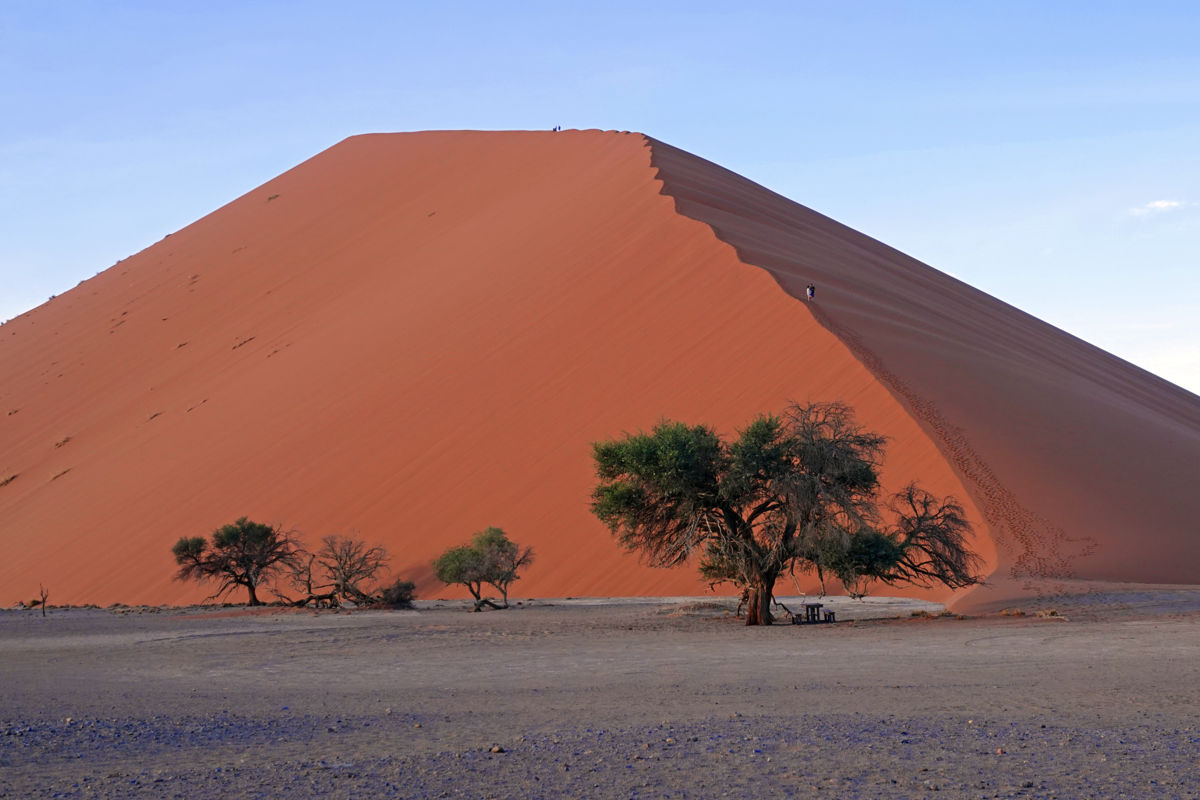 Bernáth Sándor dr.