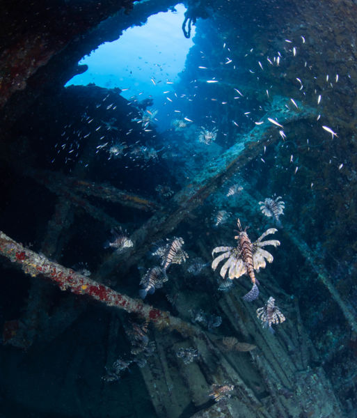 Az egyetlen lehetőség 